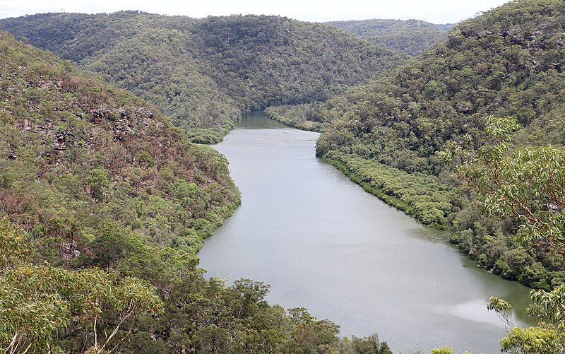 File:Berowra Creek, Berowra Valley National Park.jpg