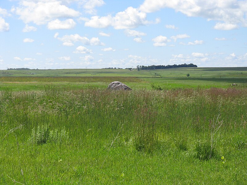 File:Big Stone National Wildlife Refuge - 31753192443.jpg