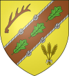 Blason ville fr Chanteau (Loiret) .svg