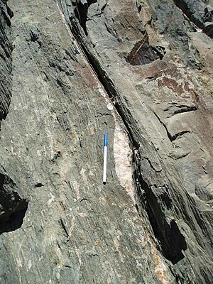 Boudinaged quartz vein (with strain fringe) showing sinistral shear sense, Starlight Pit, Fortnum Gold Mine, Western Australia Boudin vein.jpg