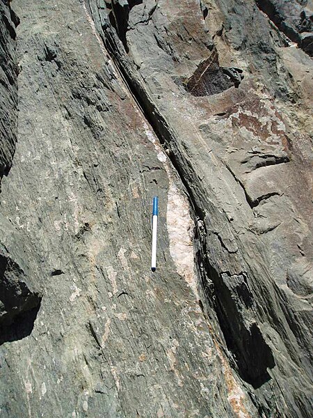 Boudinaged quartz vein (with strain fringe) showing sinistral shear sense. Starlight Pit, Fortnum Gold Mine, Western Australia.