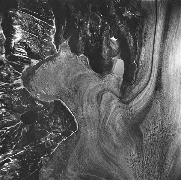 File:Brady Glacier, valley glacier, August 24, 1963 (GLACIERS 5373).jpg