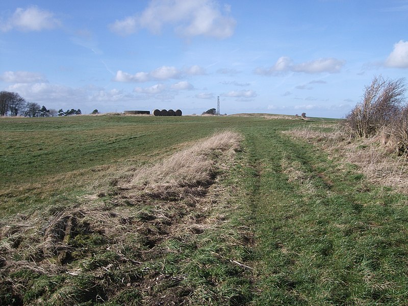 File:Bridleway, Hinton Downs - geograph.org.uk - 3857372.jpg