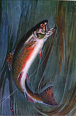 Thumbnail for Bibliography of fly fishing (species related)