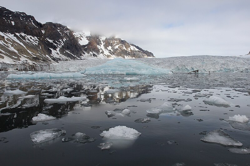 File:Burgerbukta Glacier, Svalbard, Arctic (20288374191).jpg