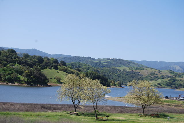 Calero Reservoir (Late Winter/Early Spring): Dancing Western and