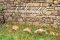 Fischgrätmuster auf der Westseite des Nordostturms im Burgus. Im Fundament sind halbwalzenförmige Zinnensteine des mittelkaiserzeitlichen Kastells verbaut