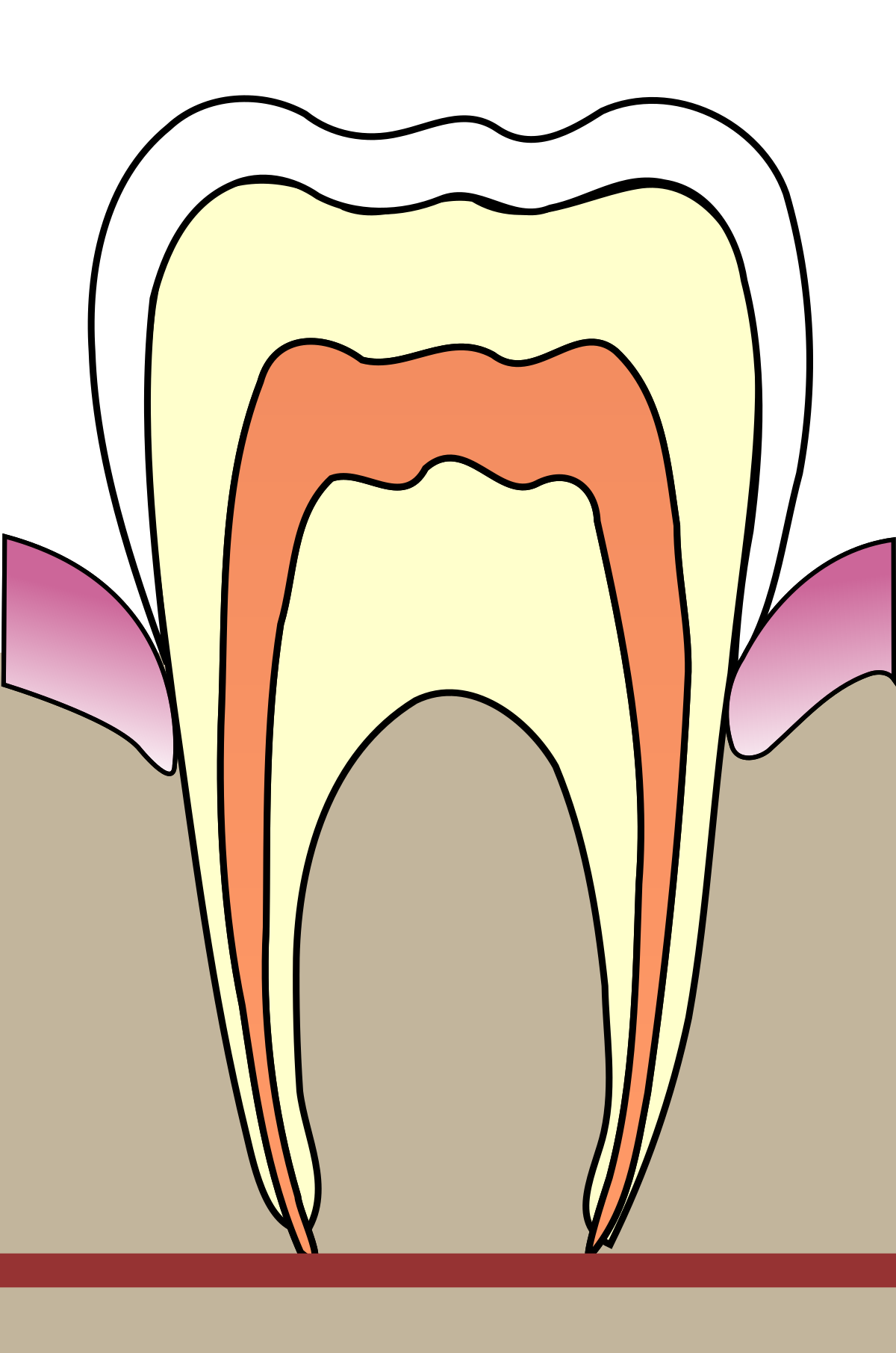 Odontología - Wikipedia, la enciclopedia libre
