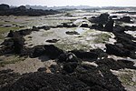 Vignette pour Cromlech de l'Œillet