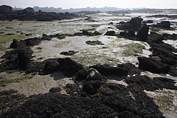 Image illustrative de l’article Cromlech de l'Œillet