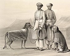 South Asian Nawabs with cheetahs