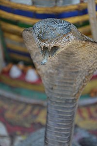 Snake statue at Chian Mai (Thailand)