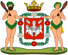 (be) The city of Antwerp, BE-VAN, introduced supporters for its coat of arms during 1881, with a "wild woman" and a wild man.[41]