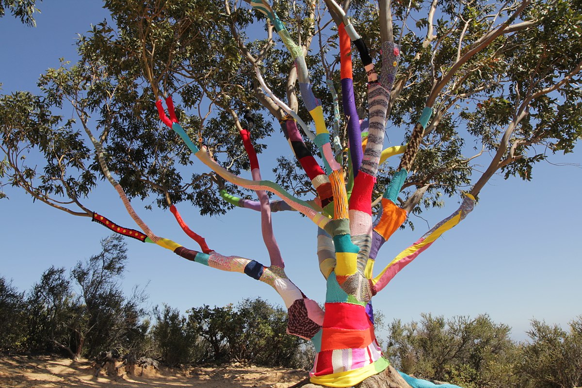 File:SBCC Yarnbomb by Stephen Duneier.PNG - Wikipedia