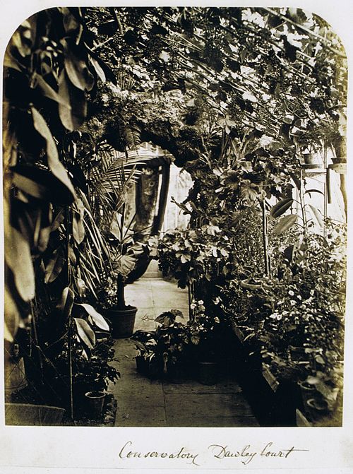 An English conservatory, Dawley Court, near Hillingdon, Middlesex, photographed circa 1870