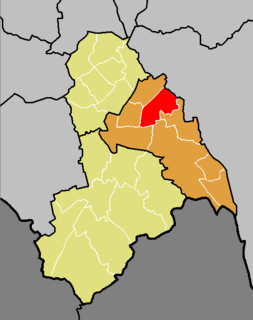 Ashburton (ward)