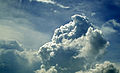 * Nomination Cumulus cloud before rain --JDP90 18:01, 8 May 2012 (UTC) * Decline Overexposure and artifacts. Lovely cloud, but bad photo. --Mattbuck 20:04, 15 May 2012 (UTC)