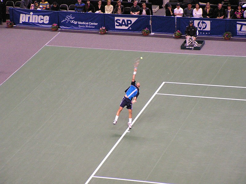 File:Cyril Saulnier SAP Open 2005 004.jpg