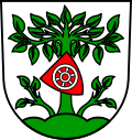 Vorschaubild für Buchen (Odenwald)