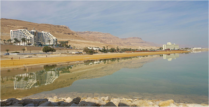 Dead Sea Reflections