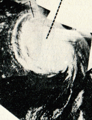 <span class="mw-page-title-main">Hurricane Debbie (1961)</span> Category 3 Atlantic hurricane