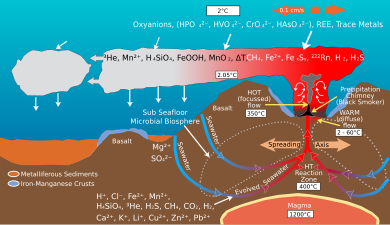 A diagram showing ocean chemistry around deep sea hydrothermal vents Deep Sea Vent Chemistry Diagram.svg