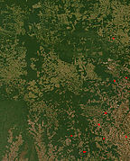 Brezilya'nın Mato Grosso eyaletindeki ormansızlaşmanın NASA uydu fotoğrafı. Ormandan tarlaya dönüşümler, daha soluk renkteki kare biçimindeki alanlar olarak görülmektedir.