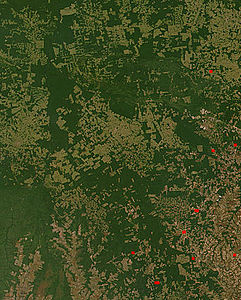 NASA-ino satelitsko opazovanje krčenja gozdov v brazilski zvezni državi Mato Grosso. Preoblikovanje iz gozda v kmetijo je razvidno iz svetlejše kvadratne oblike, ki se razvija..