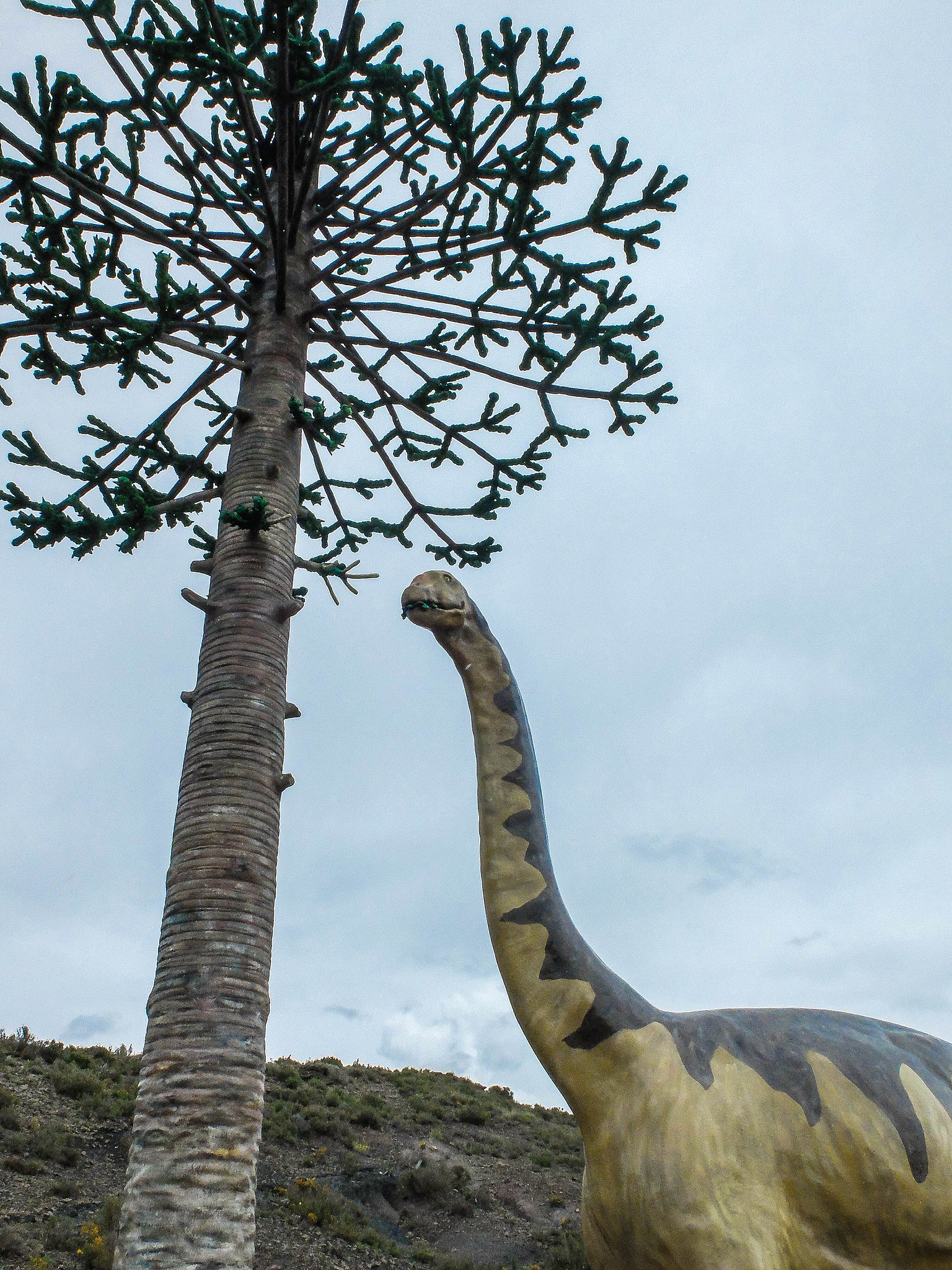 Archivo:Dinosaurio tronco fósil igea.jpg - Wikipedia, enciclopedia libre