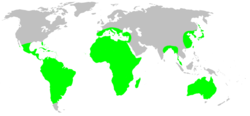 Distribution.selenopidae.1.png