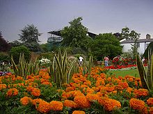 Dollis House, Gladstone Park, as seen from the gardens Dollis Hill House2.jpg