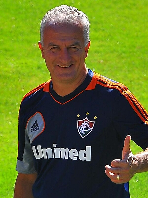 Dorival Júnior with Fluminense in 2013