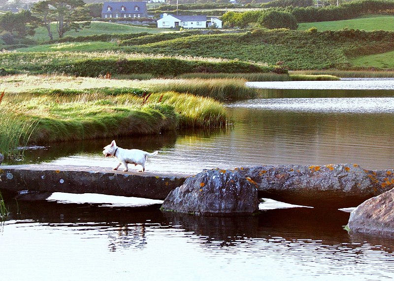 File:Dry Feet - geograph.org.uk - 1753153.jpg