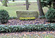 Grave of honor Potsdamer Chaussee 75 (Niko) Günter Klein (SPD) .jpg