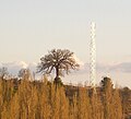 El mirador y la antena.