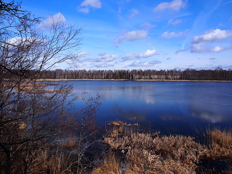 File:Elistvere järv.jpg