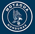 Miniatura para Fútbol Club Motagua