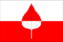 Bandeira de Břežany