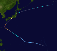 台風 19 号 沖縄