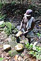 Fruit de jacquier à São Tomé.jpg