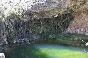 Fuente o Manantial