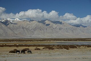 <span class="mw-page-title-main">Gar Tsangpo</span> River in Tibet Autonomous Region, China