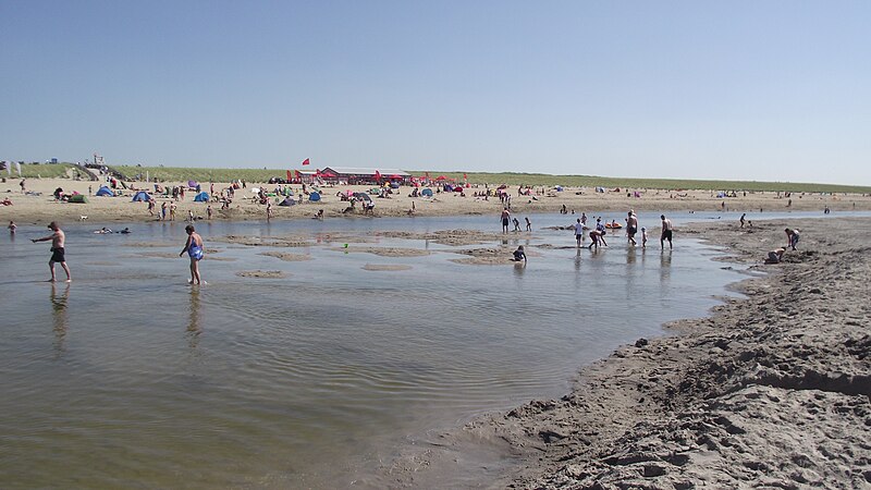 File:Geul bij laag tij in de zomer.JPG