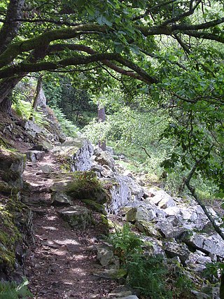 <span class="mw-page-title-main">Normandie-Maine Regional Natural Park</span>