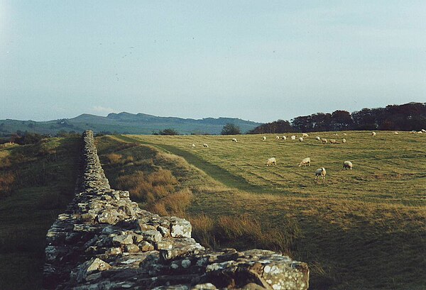 Image: Hadrian's Wall at Birdoswald   geograph.org.uk   1510113