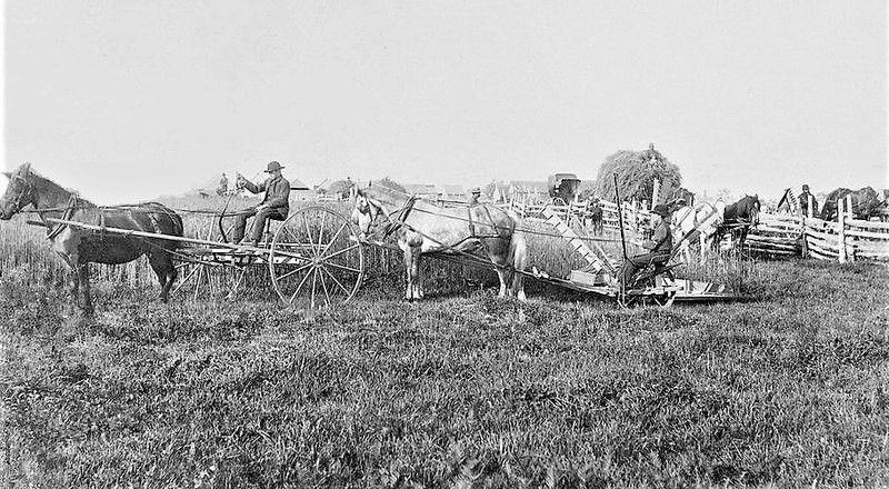 File:Harvest, Saint-Jerome.jpg