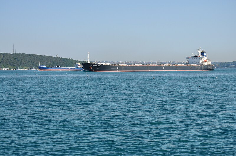 File:Harvest Moon cargo on the Bosphorus, Turkey 001.JPG