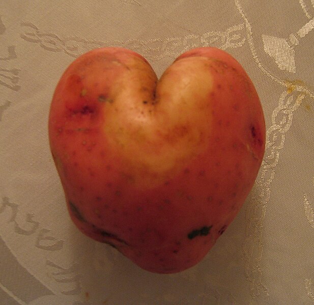 File:Heart potato.jpg