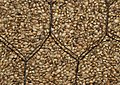 Image 23Whole hemp seeds (from Hemp)