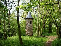 7: Torre de observación en el Parque Hohenrode, Neuhausen, Thuringia (Warttürmchen im Park Hohenrode in Neuhausen)